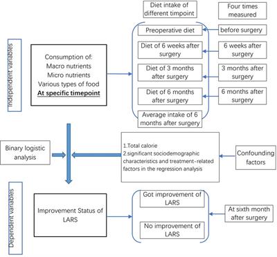 The Association Between Dietary Intake and Improvement of LARS Among Rectal Cancer Patients After Sphincter-Saving Surgery-A Descriptive Cohort Study